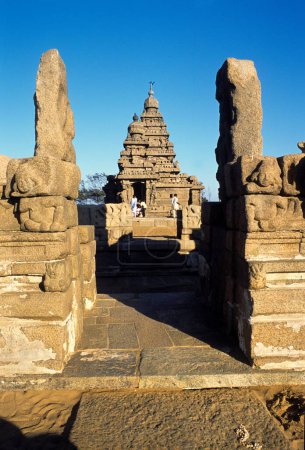 Téléchargez les photos : Temple Shore, Mahabalipuram Mamallapuram, Tamil Nadu, Inde - en image libre de droit