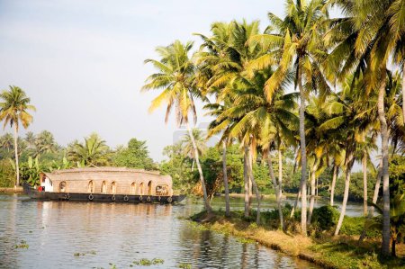 Casas flotantes de lujo y cocoteros en Backwaters, Alleppey, Kerala, India
