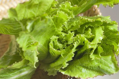Foto de Lechuga hojas verdes ensalada de verduras frescas - Imagen libre de derechos