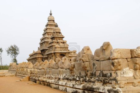 Foto de Templo de la costa en Mahabalipuram es uno de los templos más antiguos en pie en el borde del mar, Mahabalipuram, Tamil Nadu, India - Imagen libre de derechos