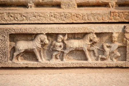 Escultura de comerciante de caballos en la pared del templo vitthal, Hampi, Karnataka, India