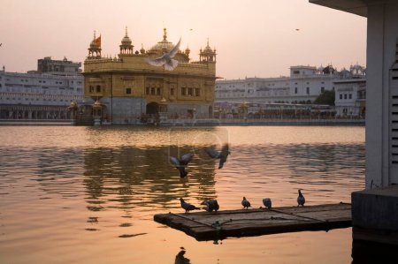 Téléchargez les photos : Harimandir Sahib swarn mandir or temple, Amritsar, Punjab, Inde - en image libre de droit