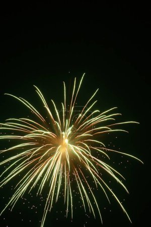 Photo for Fireworks display in the sky - Royalty Free Image