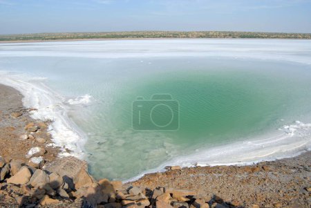 Foto de Mar de residuos de sal, Gran Rancho de Kutch, Kutch, Gujarat, India - Imagen libre de derechos