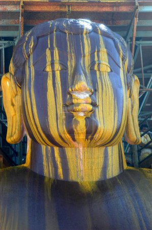 Téléchargez les photos : Mahamasthakabisheka célébration de 57 pieds de haut statue du seigneur Bahubali connu sous le nom de Gomateshvara à Sravanabelagola dans le district de Hassan du Karnataka, Inde - en image libre de droit