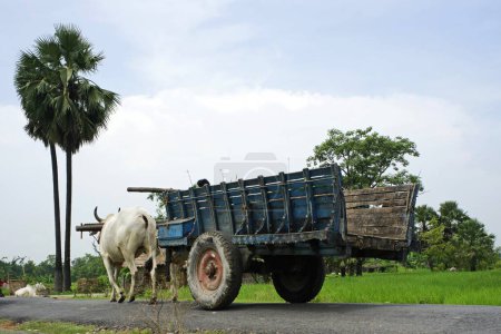 Téléchargez les photos : Chariot à taureaux sur route, Vie de village patrimonial, Vaishali à Kesariya, Bihar, Inde - en image libre de droit