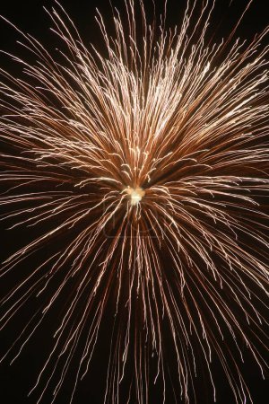 Téléchargez les photos : Affichage de feux d'artifice dans le ciel - en image libre de droit