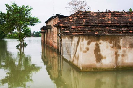 Téléchargez les photos : Inondation du Bihar 2008 eau de la rivière Kosi dans le district de Purniya, Bihar, Inde - en image libre de droit