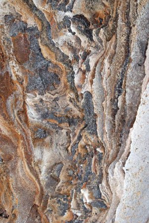 Textures created by soil formation , Virani , Kutch , Gujarat , India