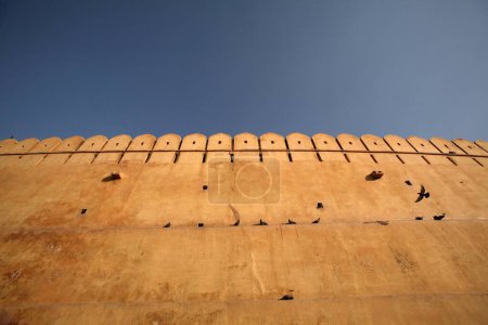 Foto de Palomas sentadas en la pared alta de Ámbar como fuerte de Amer en 1592, Jaipur, Rajastán en la India - Imagen libre de derechos