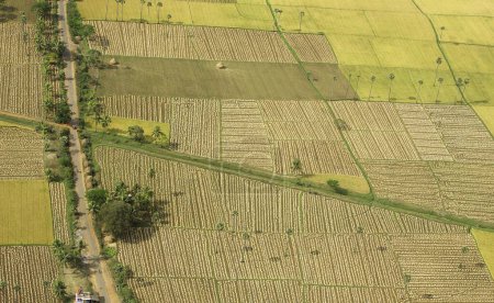 Photo for Aerial view of tilled field, Andhra Pradesh, India - Royalty Free Image