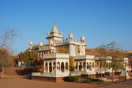 Jaswant Thada y los cenotafios reales y el árbol en primer plano, Jodhpur, Rajastán, India
