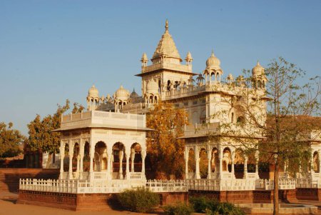 Jaswant Thada and royal cenotaphs and tree in foreground , Jodhpur , Rajasthan , India