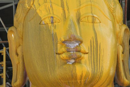 Téléchargez les photos : Pâte de curcuma coulant sur dix-huit mètres de haut statue de saint bhagwan gomateshwara bahubali dans le festival mahamasthakabhisheka Jain, Shravanabelagola dans le Karnataka, Inde Février _ 2006 - en image libre de droit