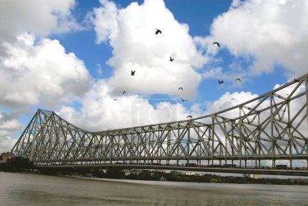 Photo for Kite Birds flying and Howrah Bridge at Calcutta , West Bengal , India - Royalty Free Image