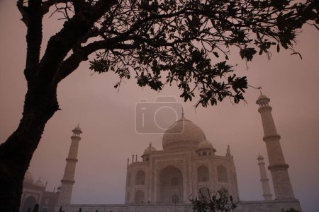 Téléchargez les photos : Taj Mahal vue avant le lever du soleil Septième merveilles du monde, Agra, Uttar Pradesh, Inde Patrimoine mondial de l'UNESCO - en image libre de droit