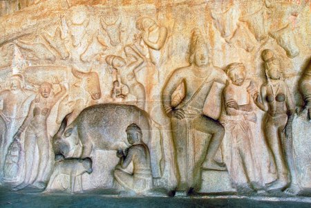 Téléchargez les photos : Immense bas-relief dans le hall mandapa de Krishna soulevant la colline Govardhana, Mahabalipuram, Tamil Nadu, Inde - en image libre de droit