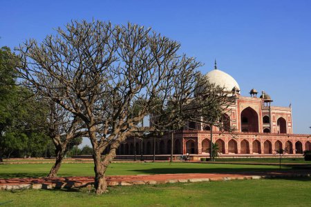 Téléchargez les photos : Arbre Champa et Magnolia Grandiflora dans le tombeau Humayuns construit en 1570, Delhi, Inde Patrimoine mondial de l'UNESCO - en image libre de droit