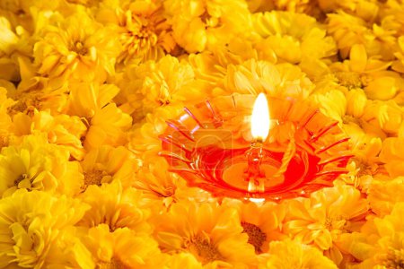 Híbrido Zinnia Flores color naranja y lámpara de aceite de plástico, India