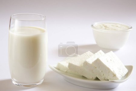 Téléchargez les photos : Lait caillé yaourt dahi fromage cottage paneer maison ou produits laitiers - en image libre de droit