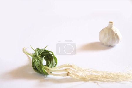 Photo for Indian spice , fresh green garlic leaves with root and bulbs Lahsun Allium sativum on white background - Royalty Free Image