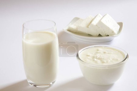 lait caillé yaourt dahi fromage cottage paneer maison ou produits laitiers