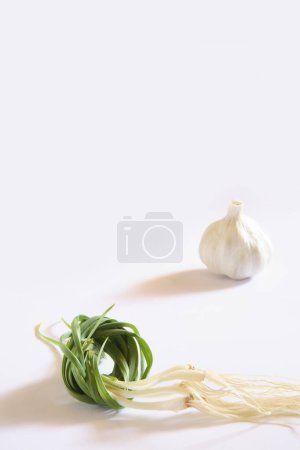 Téléchargez les photos : Épice indienne, feuilles d'ail vert frais avec racine et bulbes Lahsun Allium sativum sur fond blanc - en image libre de droit