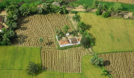 Photo for Aerial view of tilled and cultivated field, Andhra Pradesh, India - Royalty Free Image
