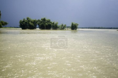 Téléchargez les photos : Arbres dans l'eau de la rivière Kosi inondation du Bihar 2008 dans le district de Purniya, Bihar, Inde - en image libre de droit