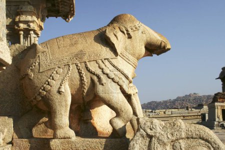 Photo for Elephant sculpture , Vijaya Vittala temple complex , Hampi Vijayanagar ruins , Karnataka , India - Royalty Free Image