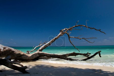 Seelandschaft Kalapathar Beach Havelock Insel Andaman Indien Asien