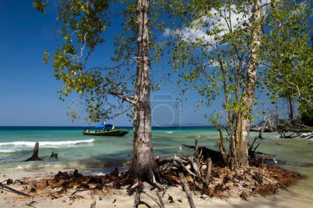Téléchargez les photos : Paysage marin Elephant Beach Havelock île d'Andaman Inde Asie - en image libre de droit