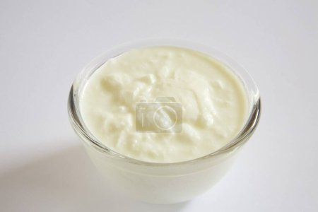 Yogur de cuajada dahi casero o productos lácteos en tazones