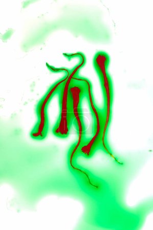Foto de Especias, hilo de azafrán en agua sobre fondo verde - Imagen libre de derechos