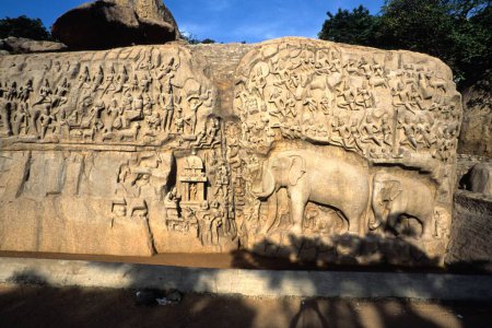 Téléchargez les photos : Bas-relief arjunas pénitence, Mahabalipuram Mamallapuram, Tamil Nadu, Inde - en image libre de droit