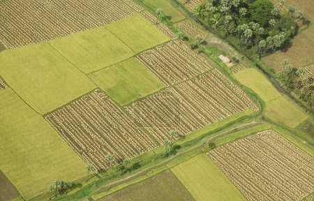 Photo for Aerial view of tilled and cultivated field, Andhra Pradesh, India - Royalty Free Image