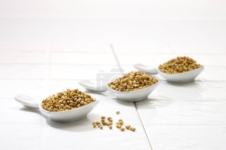 Photo for Dry coriander in spoon - Royalty Free Image