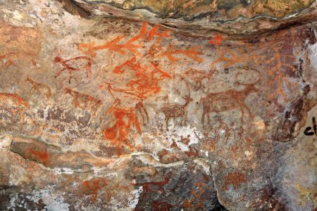 Photo for Cave paintings showing animals on rock shelters no 12 ten thousands years old at Bhimbetka near Bhopal , Madhya Pradesh , India - Royalty Free Image