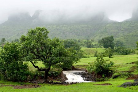 Téléchargez les photos : Paysage, ruisseau de montagne, Nasik, Maharashtra, Inde - en image libre de droit