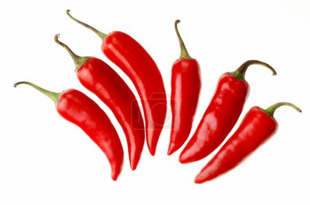 Indische Gewürze, sechs rote Chilly oder Chilischoten Paprika annuum auf weißem Hintergrund