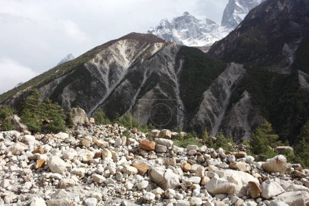 Berg Gangotri Uttarakhand Indien Asien