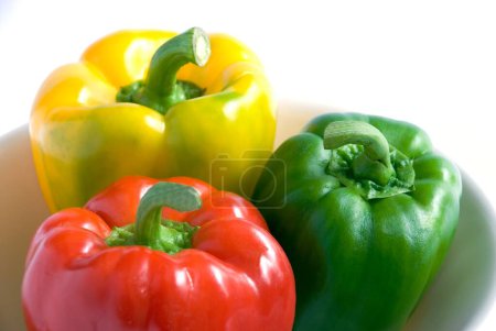 Photo for The Bell Peppers ; capsicums - red ; green & yellow originated from Mexico - Royalty Free Image