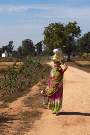 Téléchargez les photos : Femme portant de l'eau potable sur la tête, Jabalpur, Madhya Pradesh, Inde, Asie - en image libre de droit