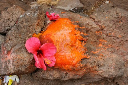 Photo for Pink flower on orange painted stone Hindu religious god ; Murud Janjira ; District Raigad ; Maharashtra ; India - Royalty Free Image