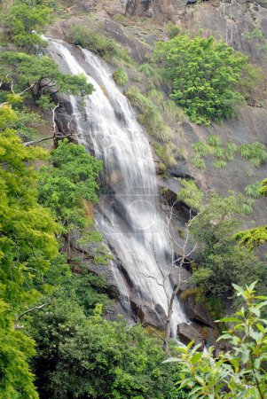 Ein Wasserfall während des Monsuns bei Coonoor; Nilgiris; Tamil Nadu; Indien