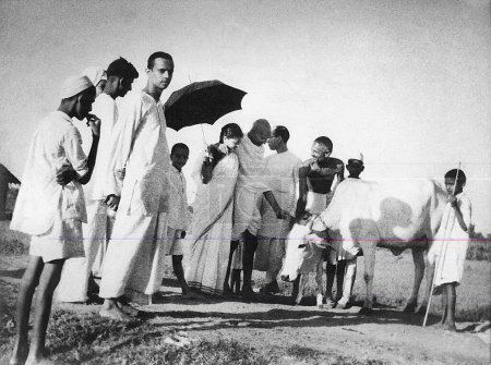 Foto de Balwant Singh presenta un ternero recién nacido de cuatro horas de edad a Mahatma Gandhi y otros en el Ashram Sevagram, 1940, Abha Gandhi, Pyarelal Nayar - Imagen libre de derechos