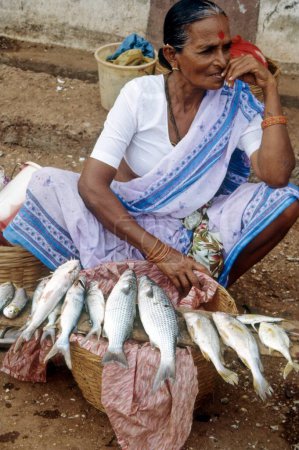 Frau verkauft Fische auf dem Fischmarkt; goa; Indien