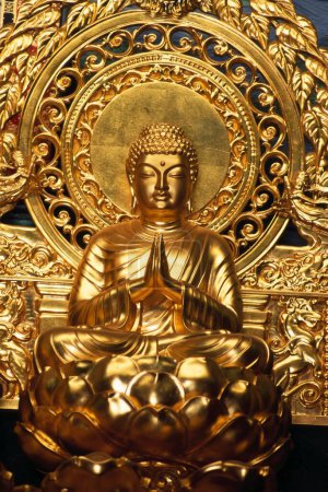 golden statue of buddha at shanti stupa , leh , ladakh , india