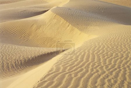 Khudi Wüste Szene in Jaisalmer, Rajasthan, Indien
