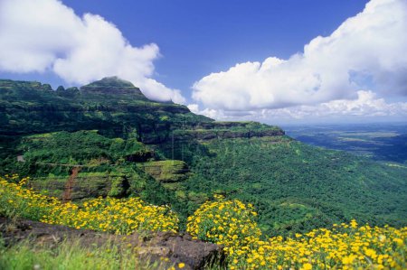 Téléchargez les photos : Montagne et fleurs ; vue éternelle ; malshej ghat ; maharashtra ; Inde - en image libre de droit